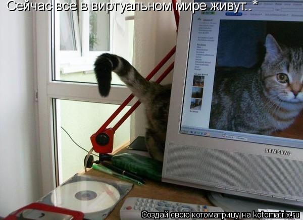 Сейчас все в виртуальном мире живут..*... Котоматрица: Сейчас все в виртуальном мире живут..*