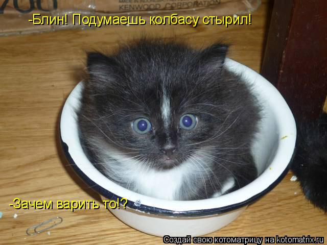 -Блин! Подумаешь колбасу стырил! -Зачем варить то!?... Котоматрица: -Блин! Подумаешь колбасу стырил! -Зачем варить то!?