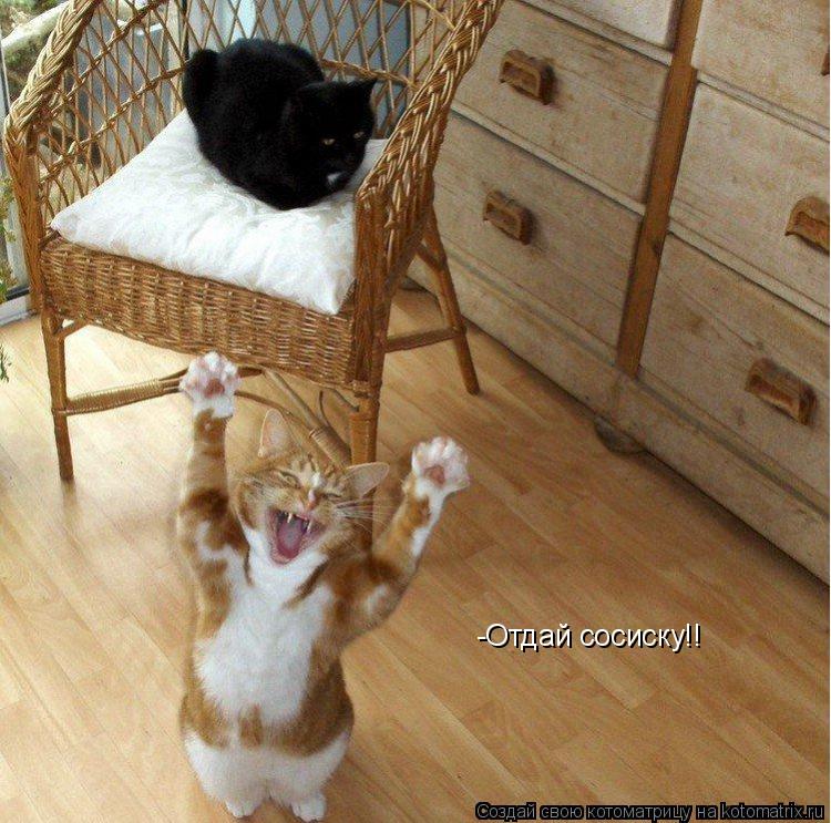-Отдай сосиску!!... Котоматрица: -Отдай сосиску!!