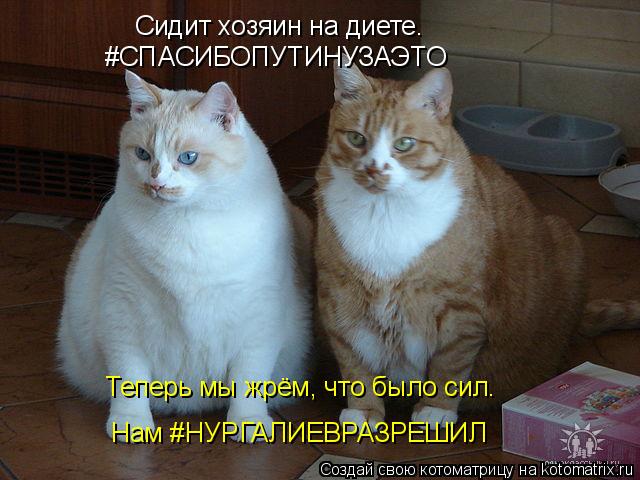 Сидит хозяин на диете. #СПАСИБОПУТИНУЗАЭТО Теперь мы жрём, что было сил. Нам #НУРГАЛИЕВРАЗРЕШИЛ... Котоматрица: Сидит хозяин на диете. #СПАСИБОПУТИНУЗАЭТО Теперь мы жрём, что было сил. Нам #НУРГАЛИЕВРАЗРЕШИЛ