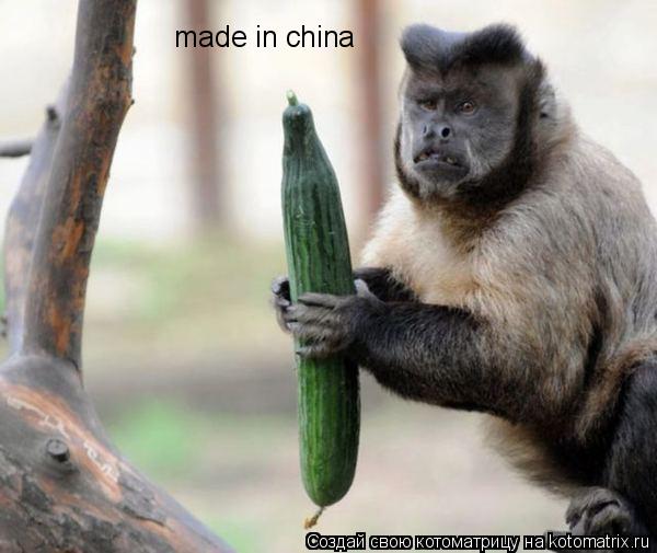 made in china... Котоматрица: made in china