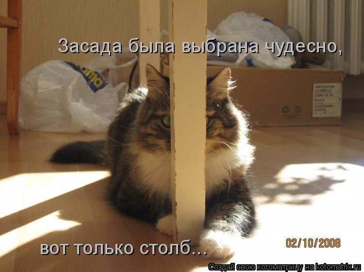 Засада была выбрана чудесно, вот только столб...... Котоматрица: Засада была выбрана чудесно, вот только столб...