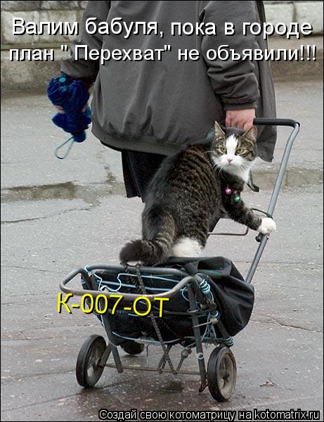 Валим бабуля, пока в городе план " Перехват" не объявили!!! К-007-ОТ... Котоматрица: Валим бабуля, пока в городе план " Перехват" не объявили!!! К-007-ОТ