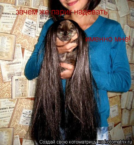 зачем же парик надевать именно мне!... Котоматрица: зачем же парик надевать именно мне!