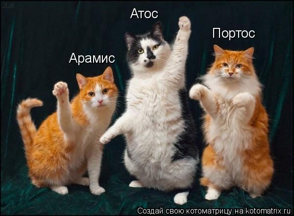 Атос Портос Арамис... Котоматрица: Атос Портос Арамис
