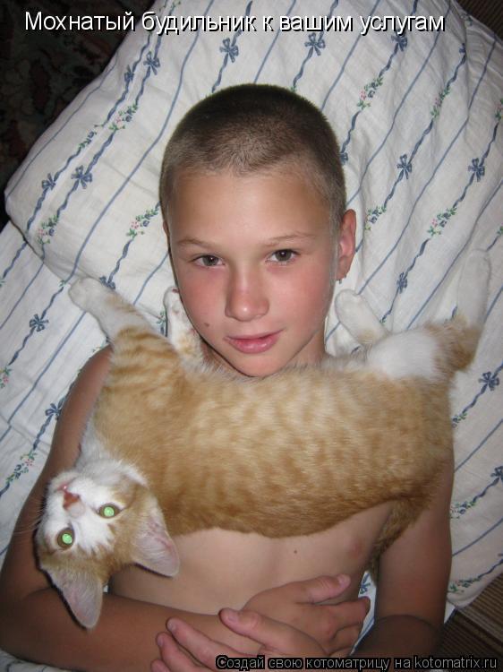 Мохнатый будильник к вашим услугам... Котоматрица: Мохнатый будильник к вашим услугам