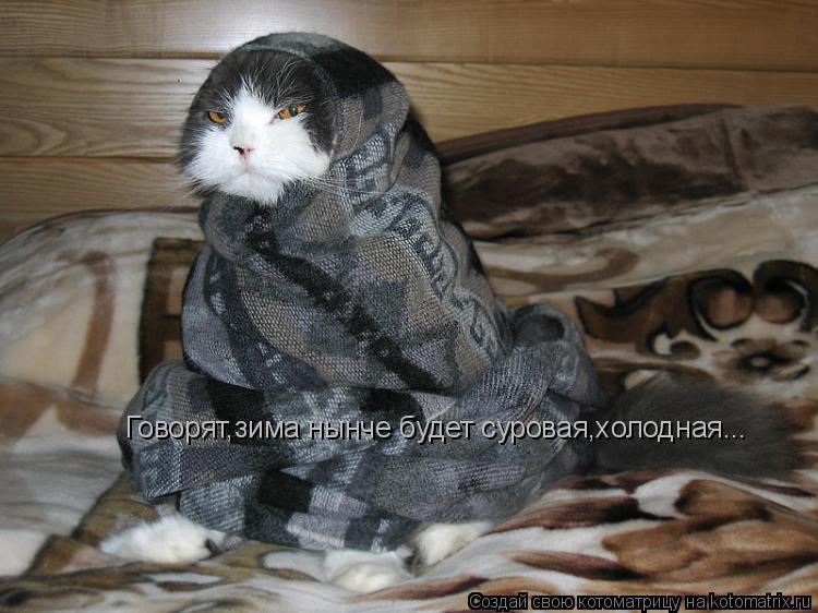 Котоматрица: Говорят,зима нынче будет суровая,холодная...