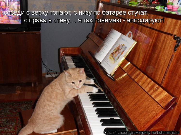 Котоматрица: соседи с верху топают, с низу по батарее стучат, с права в стену.... я так понимаю - аплодируют!