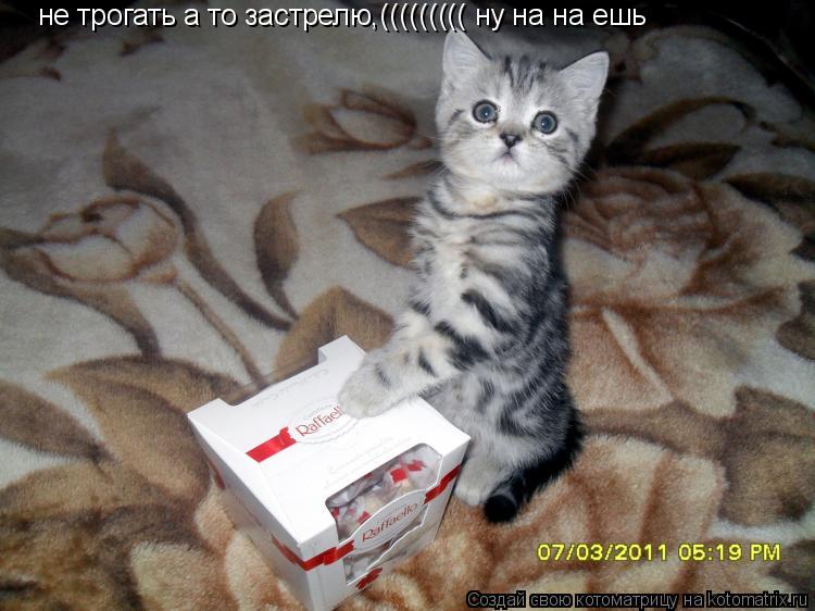 Котоматрица: не трогать а то застрелю,((((((((( ну на на ешь