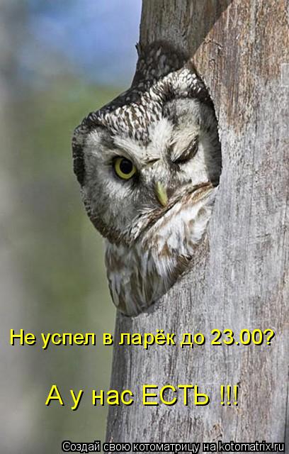 Котоматрица: Не успел в ларёк до 23.00? А у нас ЕСТЬ !!!