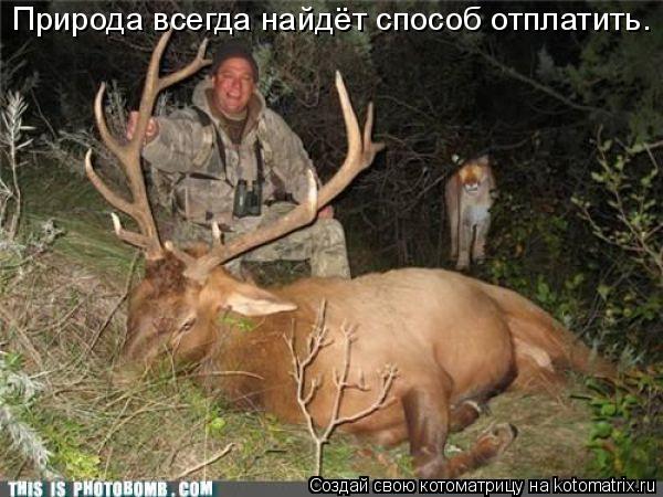 Котоматрица: Природа всегда найдёт способ отплатить.
