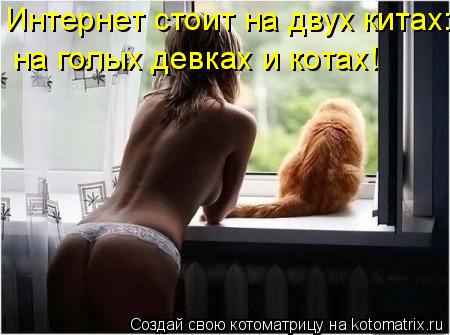 Интернет держится на двух китах: Интернет стоит на двух китах: на голых девках и котах!... Котоматрица: Интернет держится на двух китах: Интернет стоит на двух китах: на голых девках и котах!