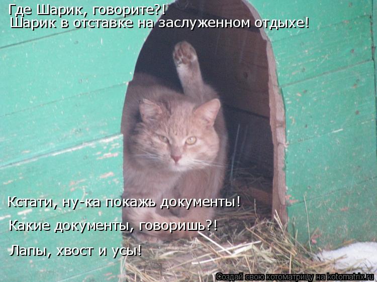 Где Шарик, говорите?! Шарик в отставке на заслуженном отдыхе! Кстати, ну-ка покажь документы! Какие д... Котоматрица: Где Шарик, говорите?! Шарик в отставке на заслуженном отдыхе! Кстати, ну-ка покажь документы! Какие документы, говоришь?! Лапы, хвост и усы!