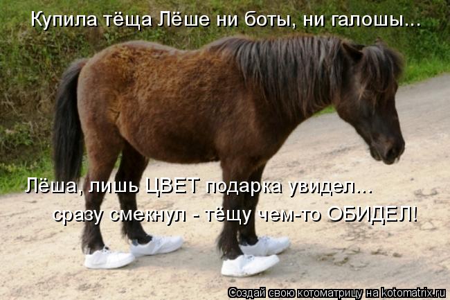 Купила тёща Лёше ни боты, ни галошы... Лёша, лишь ЦВЕТ подарка увидел... сразу смекнул - тёщу чем-то ... Котоматрица: Купила тёща Лёше ни боты, ни галошы... Лёша, лишь ЦВЕТ подарка увидел... сразу смекнул - тёщу чем-то ОБИДЕЛ!