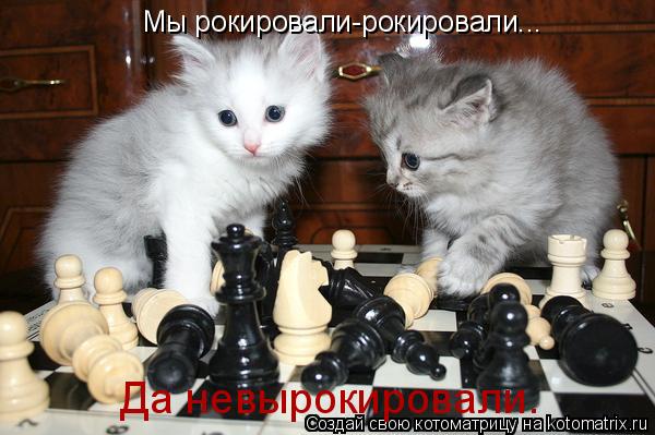 Мы рокировали-рокировали... Да невырокировали.... Котоматрица: Мы рокировали-рокировали... Да невырокировали.