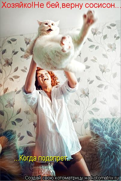 Хозяйко!Не бей,верну сосисон..... ...Когда подопрет..... Котоматрица: Хозяйко!Не бей,верну сосисон..... ...Когда подопрет..