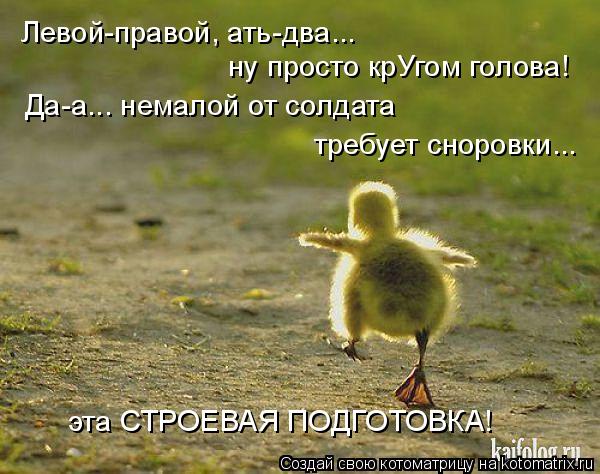 Левой-правой, ать-два... ну просто крУгом голова! Да-а... немалой от солдата требует сноровки... эт... Котоматрица: Левой-правой, ать-два... ну просто крУгом голова! Да-а... немалой от солдата требует сноровки... эта СТРОЕВАЯ ПОДГОТОВКА!
