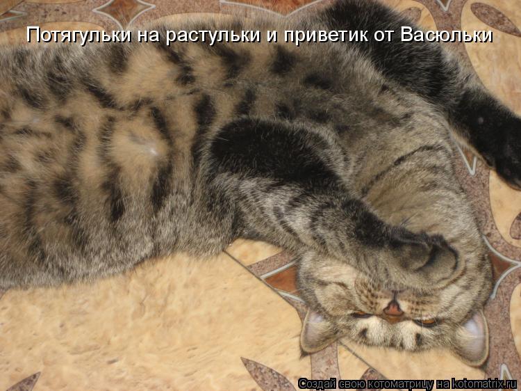 Потягульки на растульки и приветик от Васюльки... Котоматрица: Потягульки на растульки и приветик от Васюльки