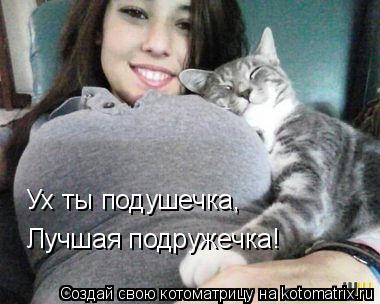 Ух ты подушечка, Лучшая подружечка!... Котоматрица: Ух ты подушечка, Лучшая подружечка!