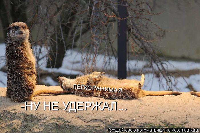 ЛЕГКОРАНИМАЯ -НУ НЕ УДЕРЖАЛ...... Котоматрица: ЛЕГКОРАНИМАЯ -НУ НЕ УДЕРЖАЛ...