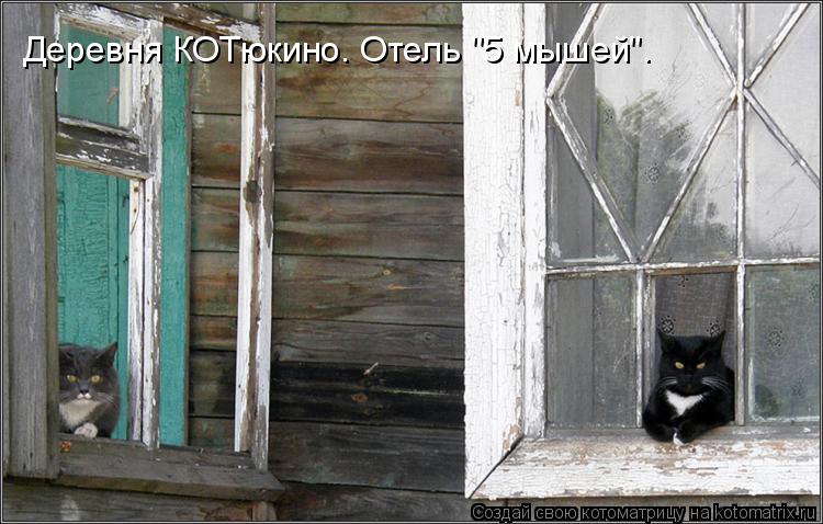 Деревня КОТюкино. Отель "5 мышей".... Котоматрица: Деревня КОТюкино. Отель "5 мышей".