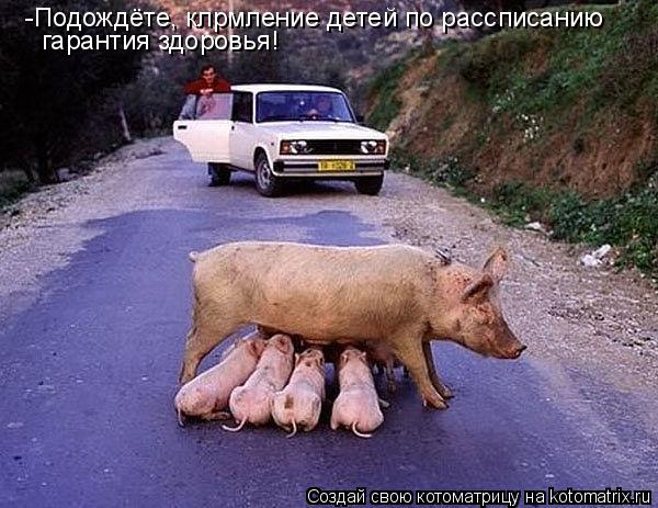 -Подождёте, клрмление детей по рассписанию гарантия здоровья!... Котоматрица: -Подождёте, клрмление детей по рассписанию гарантия здоровья!