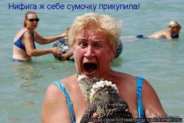Нифига ж себе сумочку прикупила!... Котоматрица: Нифига ж себе сумочку прикупила!