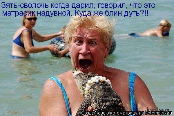 Зять-сволочь когда дарил, говорил, что это матрасик надувной. Куда же блин дуть?!!!... Котоматрица: Зять-сволочь когда дарил, говорил, что это матрасик надувной. Куда же блин дуть?!!!