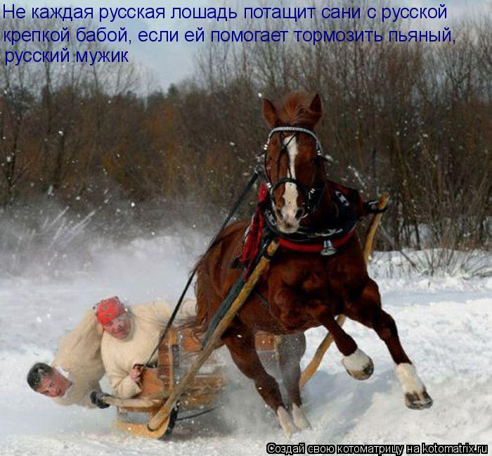 Не каждая русская лошадь потащит сани с русской крепкой бабой, если ей помогает тормозить пьяный, ру... Котоматрица: Не каждая русская лошадь потащит сани с русской крепкой бабой, если ей помогает тормозить пьяный, русский мужик