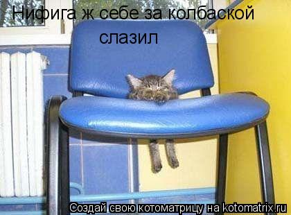 Нифига ж себе за колбаской слазил... Котоматрица: Нифига ж себе за колбаской слазил