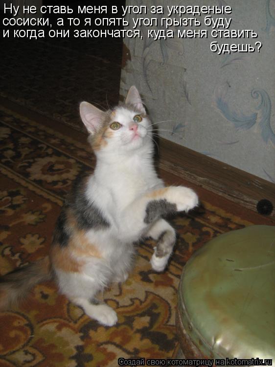 Ну не ставь меня в угол за украденые сосиски, а то я опять угол грызть буду и когда они закончатся, ... Котоматрица: Ну не ставь меня в угол за украденые сосиски, а то я опять угол грызть буду и когда они закончатся, куда меня ставить будешь?