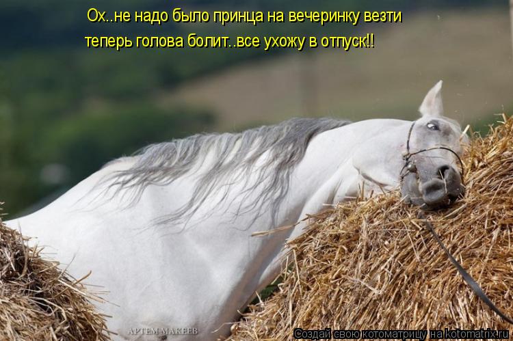 Ох..не надо было принца на вечеринку везти теперь голова болит..все ухожу в отпуск!!... Котоматрица: Ох..не надо было принца на вечеринку везти теперь голова болит..все ухожу в отпуск!!
