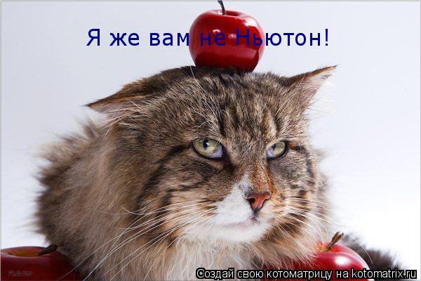 Я же вам не Ньютон!... Котоматрица: Я же вам не Ньютон!