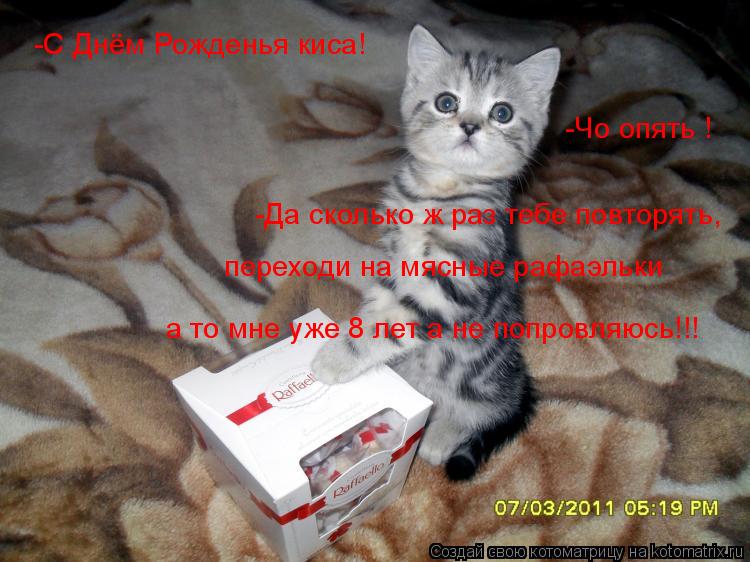 -С Днём Рожденья киса! -Чо опять ! -Да сколько ж раз тебе повторять, переходи на мясные рафаэльки а т... Котоматрица: -С Днём Рожденья киса! -Чо опять ! -Да сколько ж раз тебе повторять, переходи на мясные рафаэльки а то мне уже 8 лет а не попровляюсь!!!