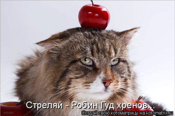 Котоматрица: Стреляй - Робин Гуд хренов...