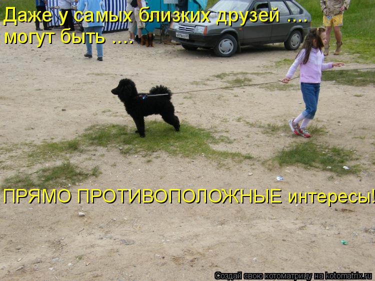 Даже у самых близких друзей .... могут быть .... ПРЯМО ПРОТИВОПОЛОЖНЫЕ интересы!!!... Котоматрица: Даже у самых близких друзей .... могут быть .... ПРЯМО ПРОТИВОПОЛОЖНЫЕ интересы!!!