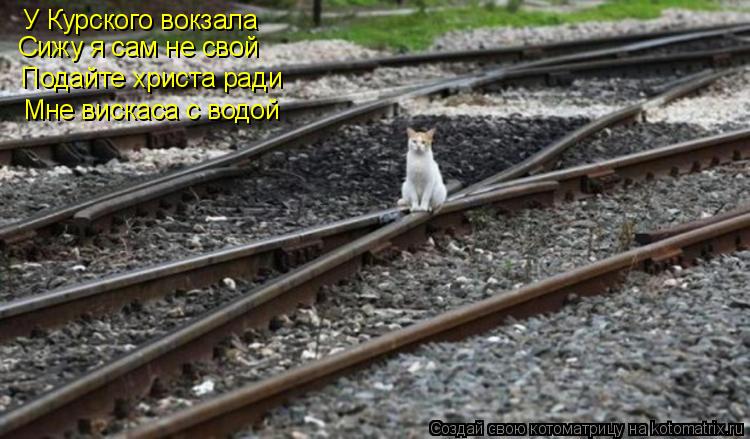 Котоматрица: У Курского вокзала Сижу я сам не свой Подайте христа ради Мне вискаса с водой