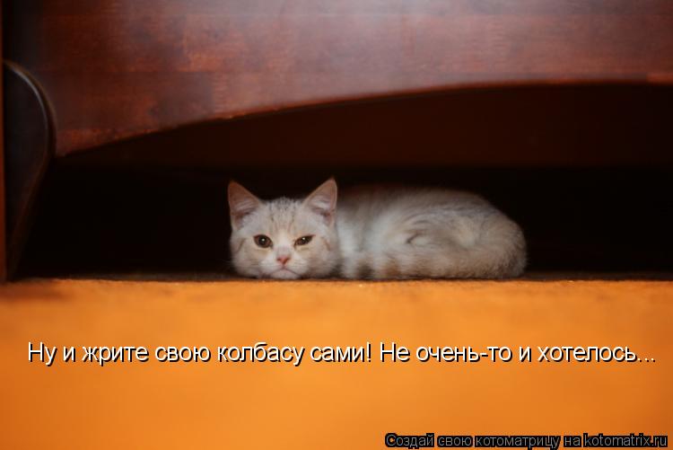 Котоматрица: Ну и жрите свою колбасу сами! Не очень-то и хотелось...