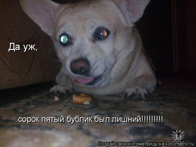 Котоматрица: Да уж, сорок пятый бублик был лишний!!!!!!!!!