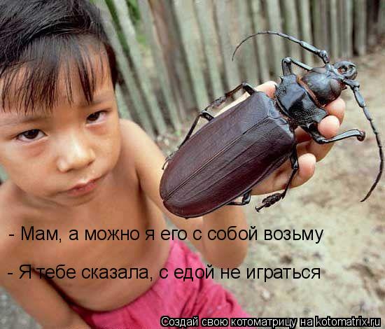 Котоматрица: - Мам, а можно я его с собой возьму - Я тебе сказала, с едой не играться