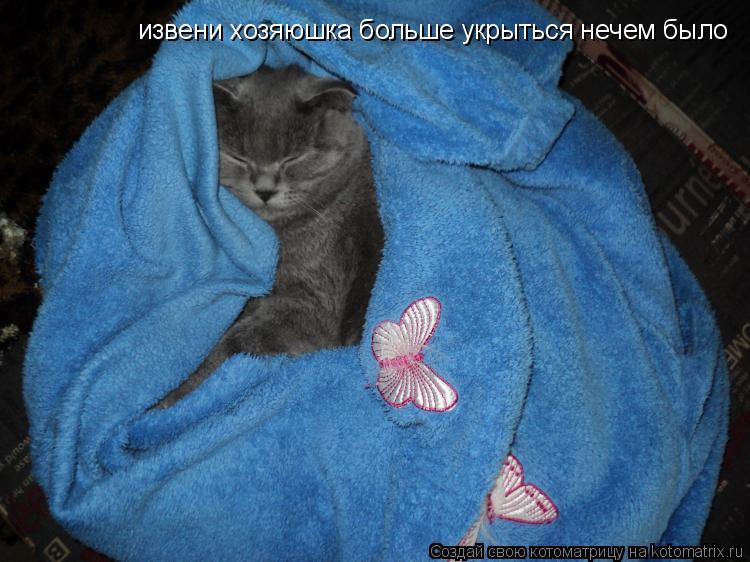 Котоматрица: извени хозяюшка боль укрыться нечем было извени хозяюшка больше укрыться нечем было