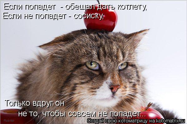Котоматрица: Если попадет  - обещал дать котлету, Если не попадет - сосиску, Только вдруг он  не то, чтобы совсем не попадет...