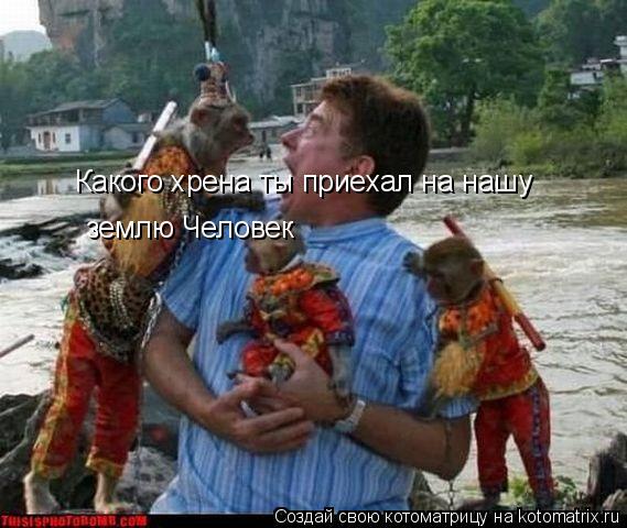 Котоматрица: Какого хрена ты приехал на нашу землю Человек