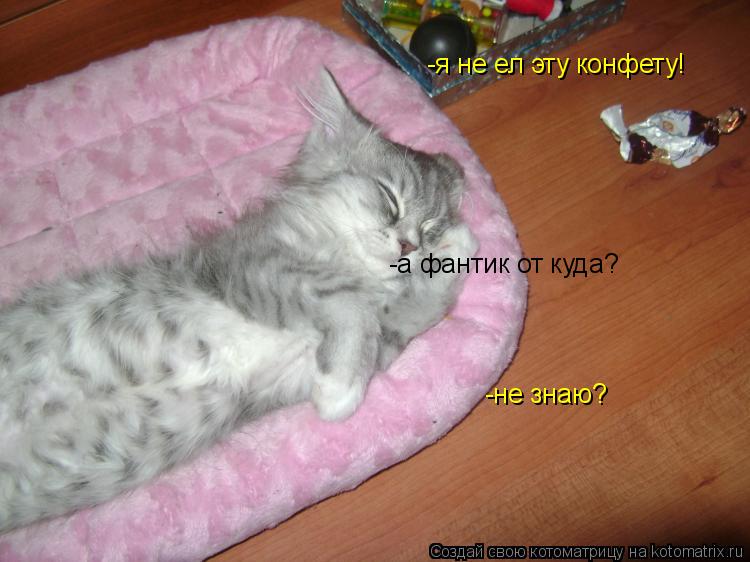 Котоматрица: -я не ел эту конфету! -а фантик от куда? -не знаю?