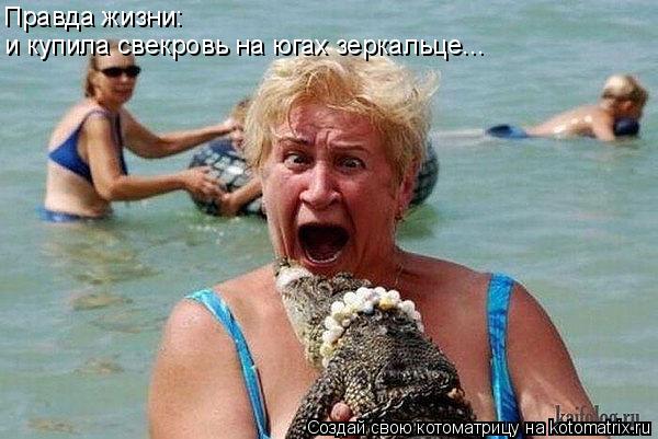 Правда жизни: и купила свекровь на югах зеркальце...... Котоматрица: Правда жизни: и купила свекровь на югах зеркальце...