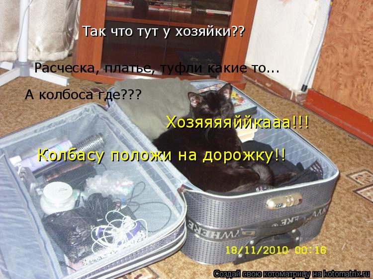 Так что тут у хозяйки?? Расческа, платье, туфли какие то... А колбоса где??? Хозяяяяййкааа!!! Колбасу... Котоматрица: Так что тут у хозяйки?? Расческа, платье, туфли какие то... А колбоса где??? Хозяяяяййкааа!!! Колбасу положи на дорожку!!