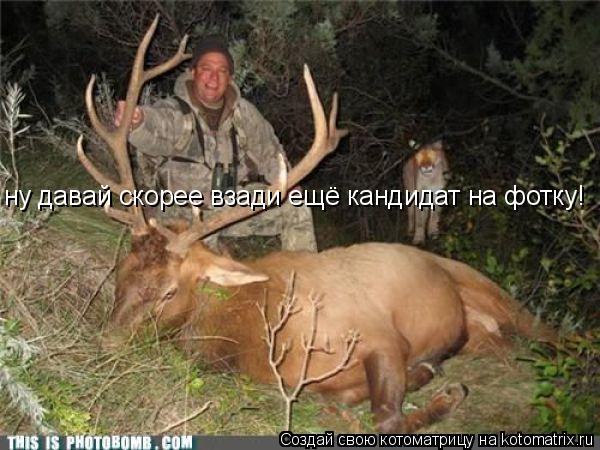 ну давай скорее взади ещё кандидат на фотку!... Котоматрица: ну давай скорее взади ещё кандидат на фотку!