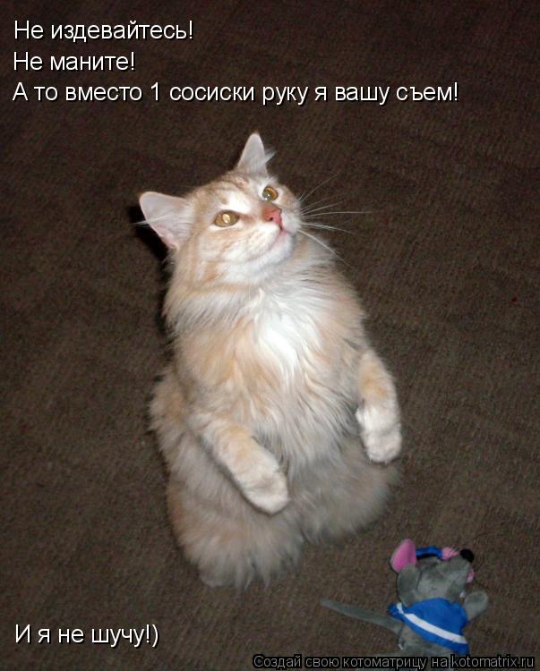 Не издевайтесь! Не маните! А то вместо 1 сосиски руку я вашу съем! И я не шучу!)... Котоматрица: Не издевайтесь! Не маните! А то вместо 1 сосиски руку я вашу съем! И я не шучу!)