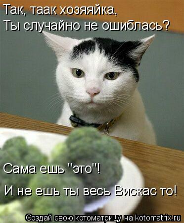 Так, таак хозяяйка, Ты случайно не ошиблась? Сама ешь "это"! И не ешь ты весь Вискас то!... Котоматрица: Так, таак хозяяйка, Ты случайно не ошиблась? Сама ешь "это"! И не ешь ты весь Вискас то!