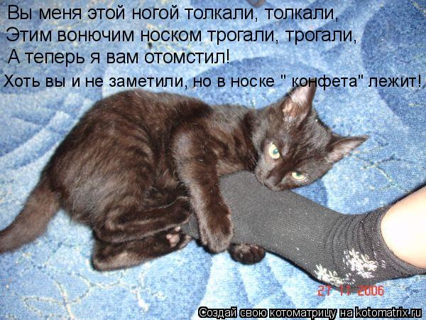 Вы меня этой ногой толкали, толкали, Этим вонючим носком трогали, трогали, А теперь я вам отомстил! Х... Котоматрица: Вы меня этой ногой толкали, толкали, Этим вонючим носком трогали, трогали, А теперь я вам отомстил! Хоть вы и не заметили, но в носке " конфета"